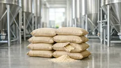 Il caso Ÿnsect: perché la mega-fabbrica di proteine da insetti è finita in crisi