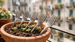 Forchette nei vasi: il trucco anti-gatti che protegge terriccio e piantine